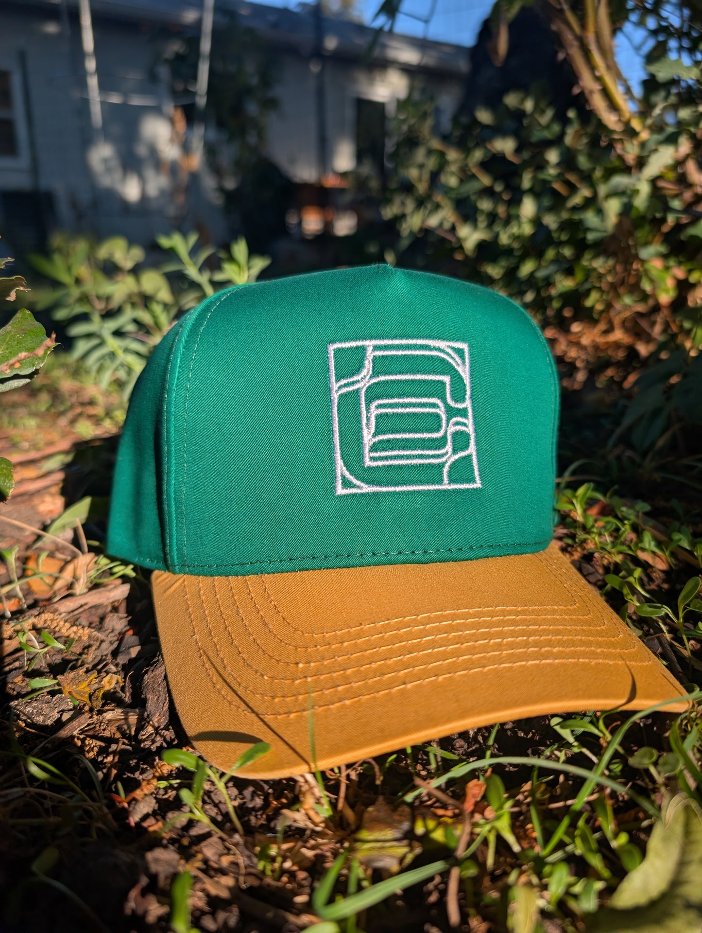 Logo Snapback