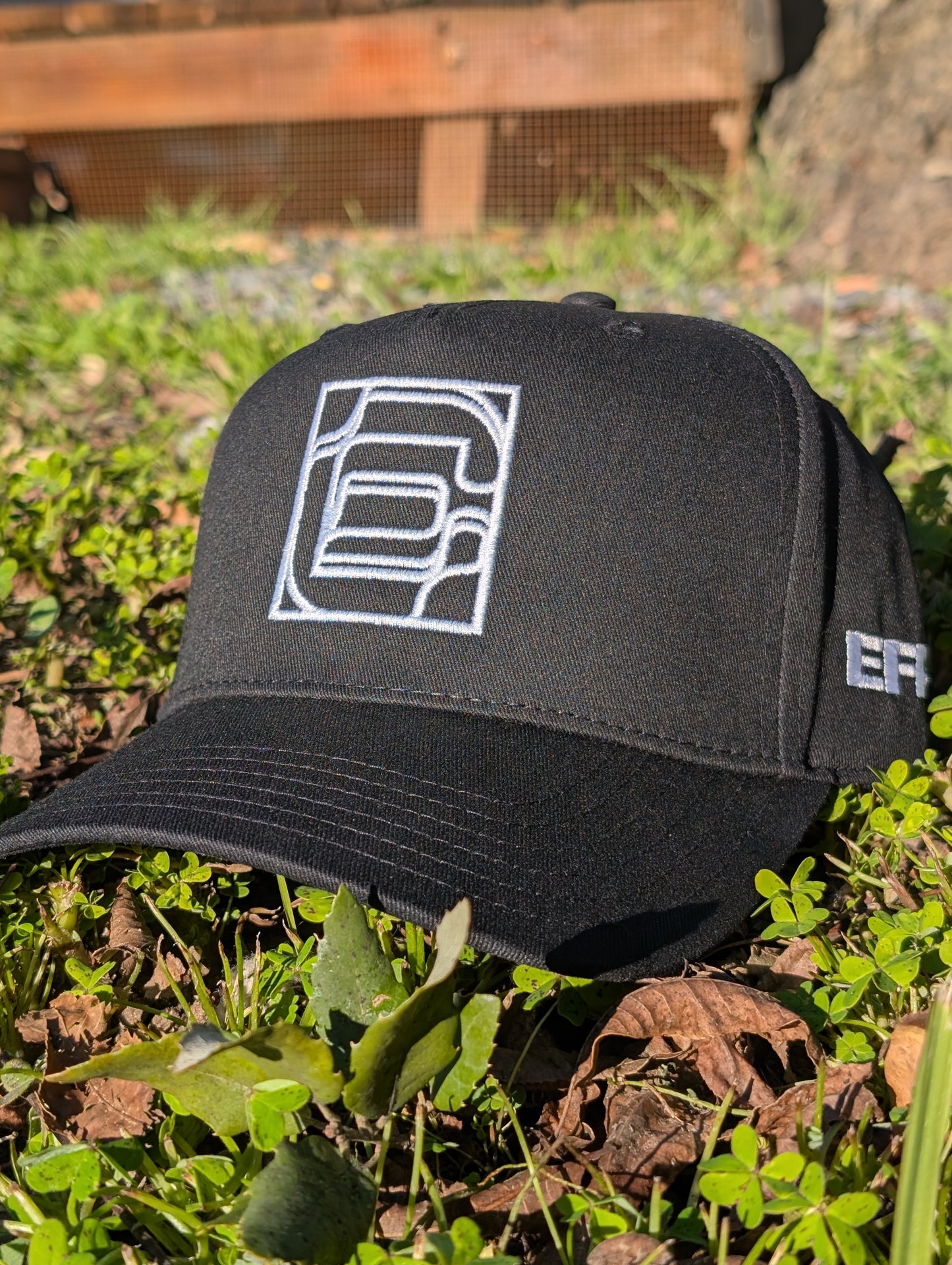Logo Snapback