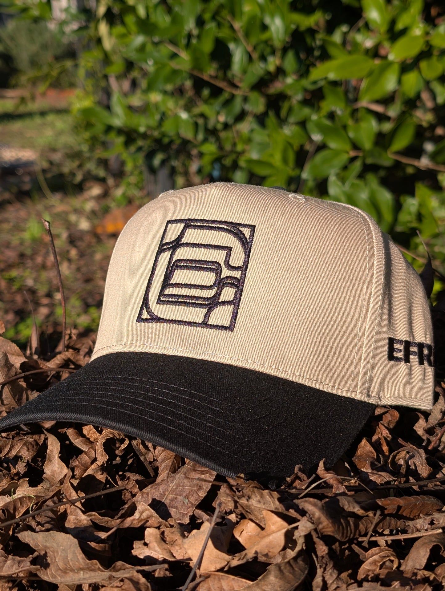 Logo Snapback